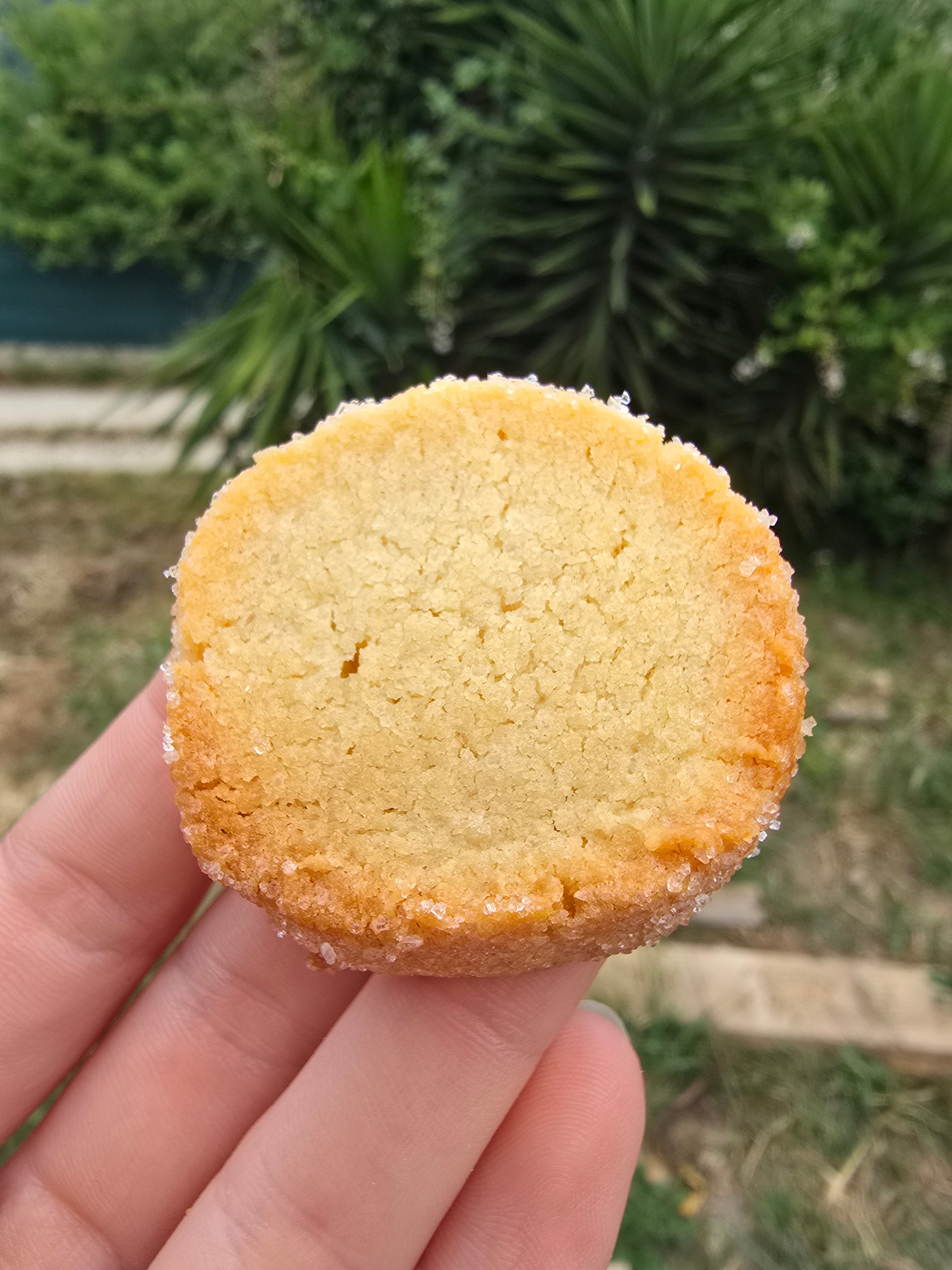 Sablé diamant au coquelicot (200g)