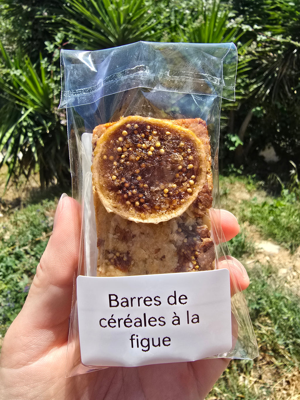 Barres de céréales compacte à la figue (1 barre)