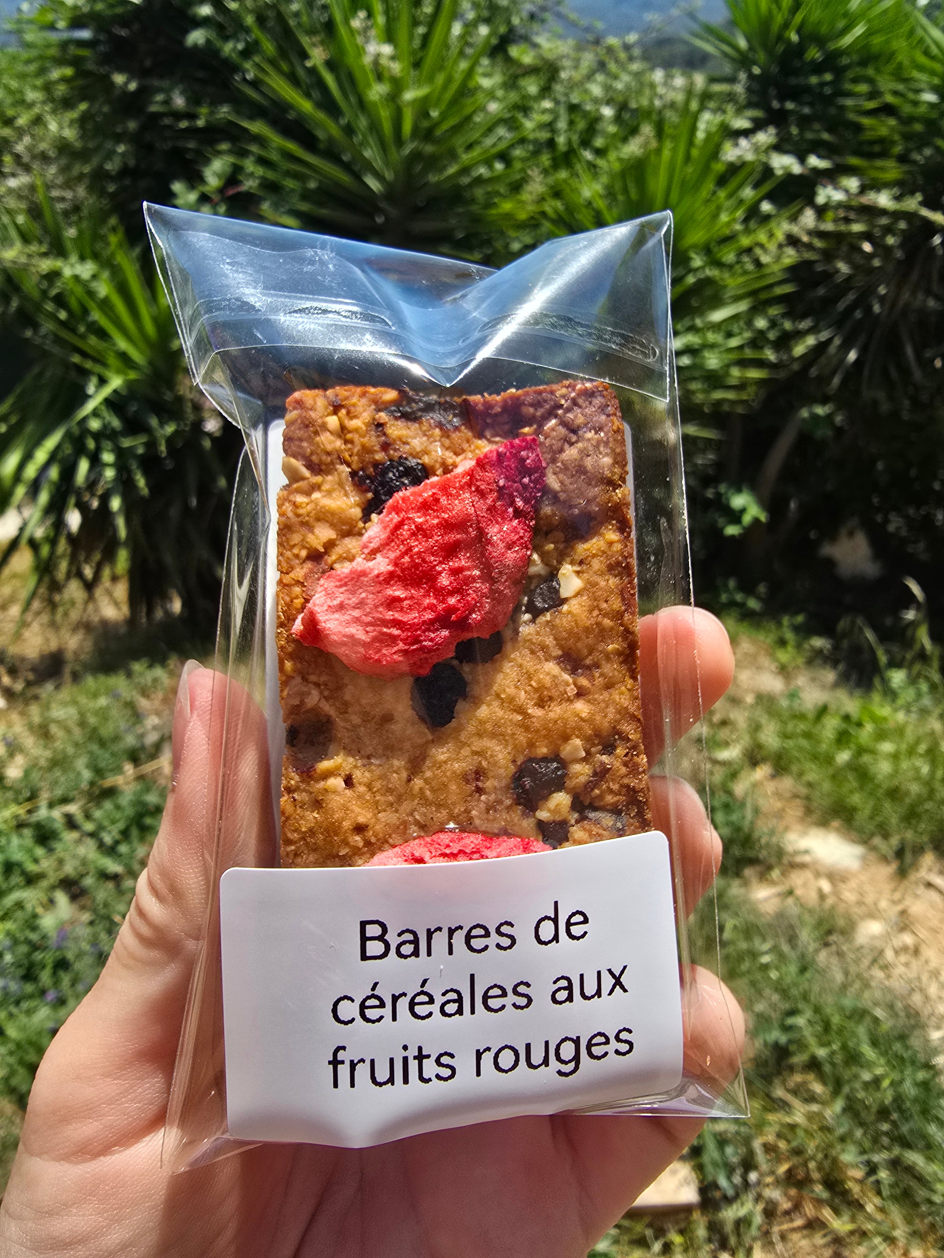 Barres de céréales compacte aux fruits rouges (1 barre)