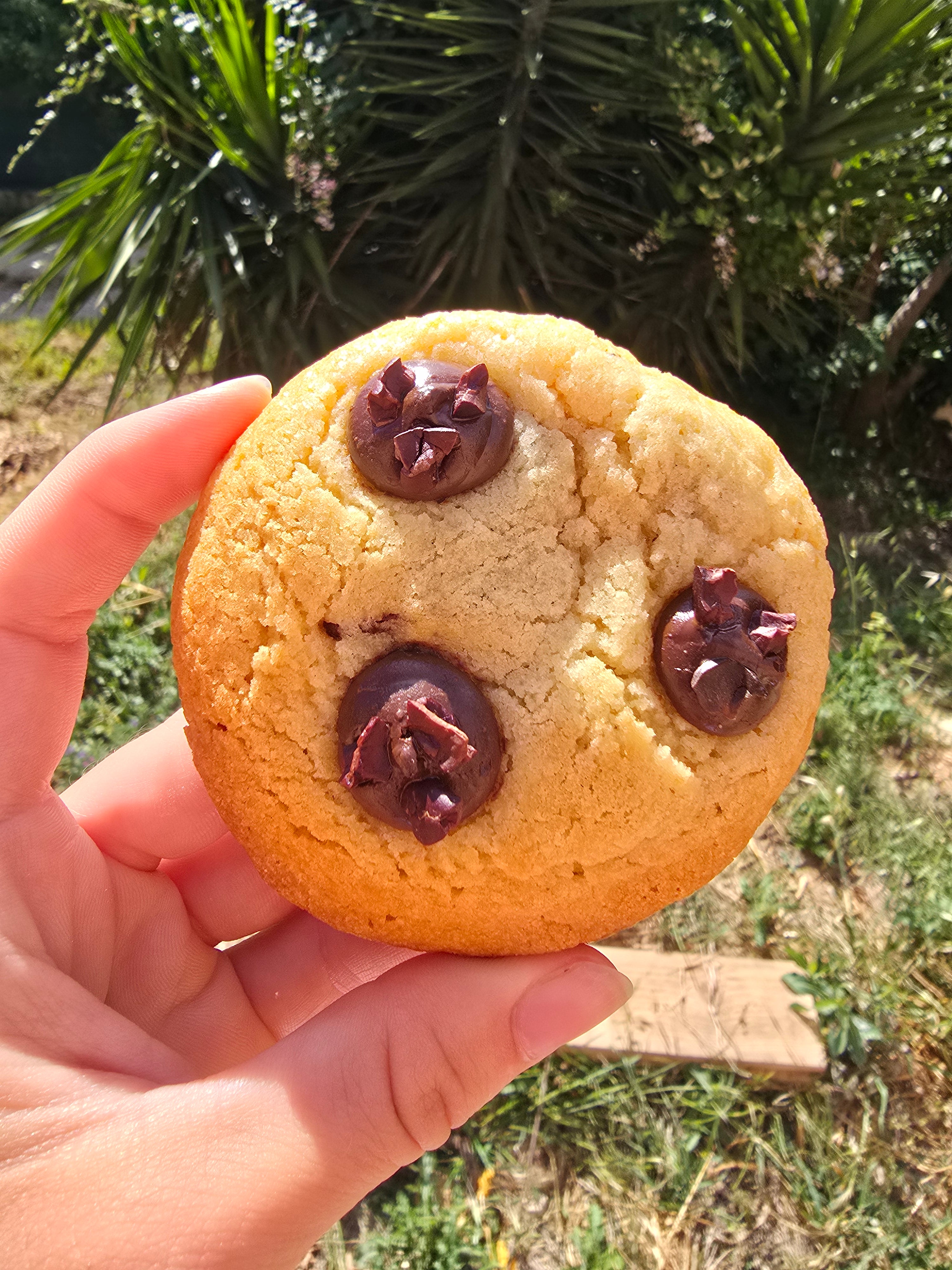 Cookie au chocolat