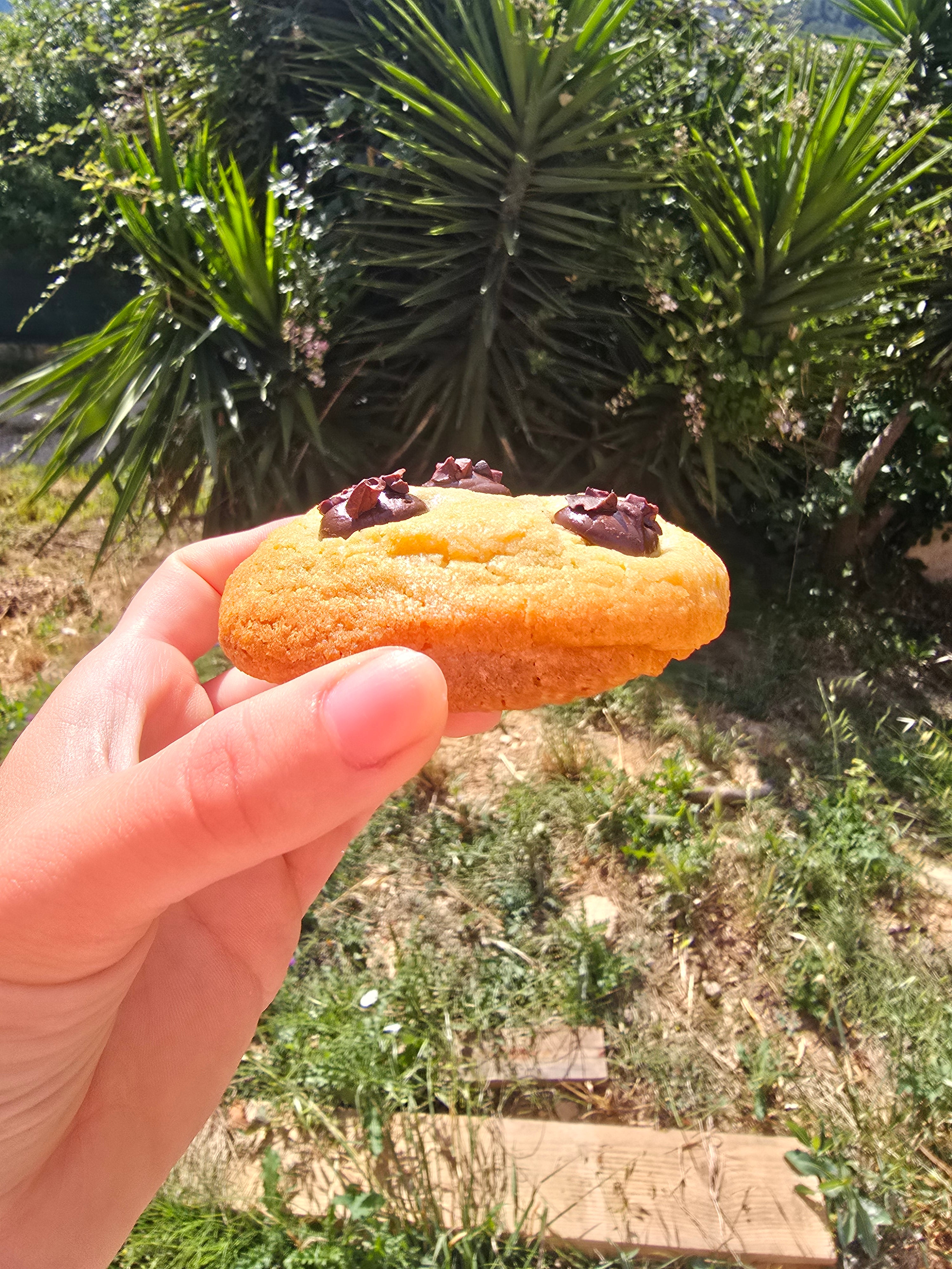 Cookie au chocolat
