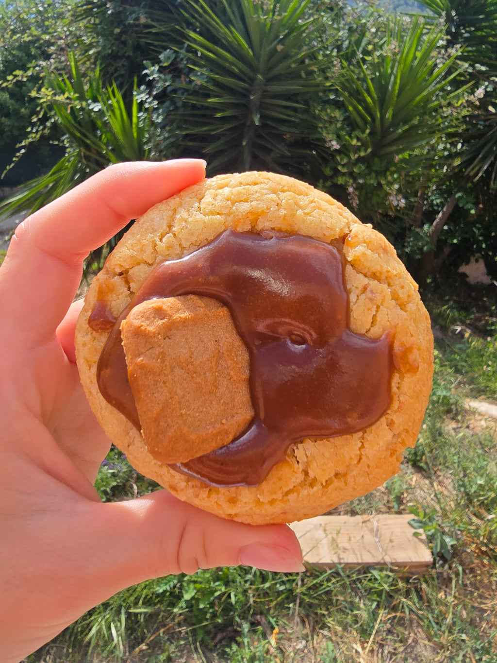 Cookie au speculoos