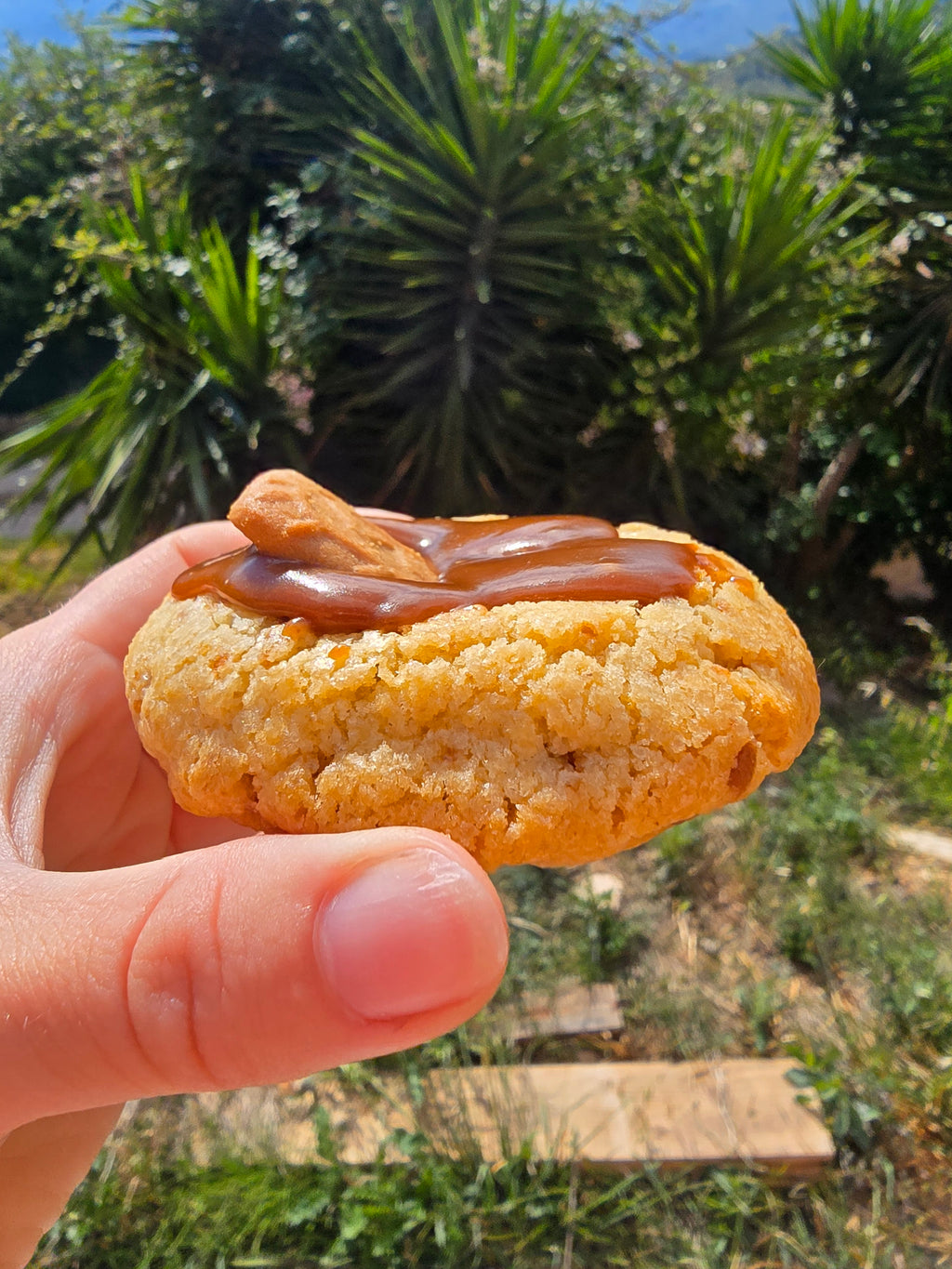Cookie au speculoos